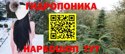 гашик Волжский