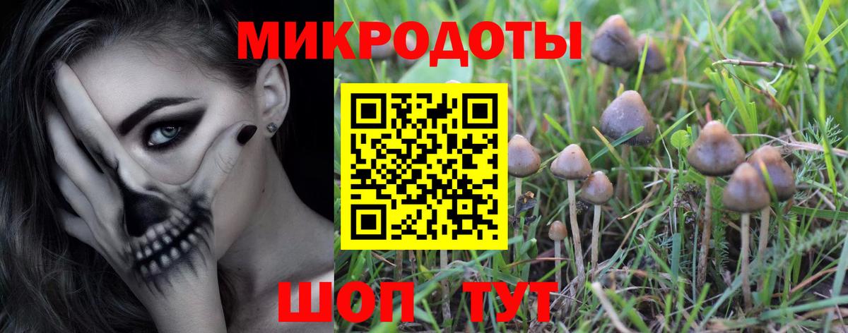 Галлюциногенные грибы Psilocybine cubensis Медногорск